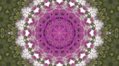 Soyut boya fırça mürekkep patlayabilir formanın düzgün kavramı simetrik desen süs dekoratif Kaleidoscope hareketi geometrik daire ve yıldız şekiller