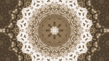 Soyut boya fırça mürekkep patlayabilir formanın düzgün kavramı simetrik desen süs dekoratif Kaleidoscope hareketi geometrik daire ve yıldız şekiller