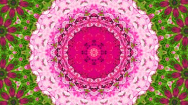 Soyut boya fırça mürekkep patlayabilir formanın düzgün kavramı simetrik desen süs dekoratif Kaleidoscope hareketi geometrik daire ve yıldız şekiller