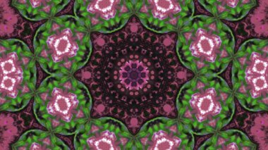 Soyut boya fırça mürekkep patlayabilir formanın düzgün kavramı simetrik desen süs dekoratif Kaleidoscope hareketi geometrik daire ve yıldız şekiller