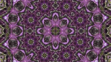 Soyut boya fırça mürekkep patlayabilir formanın düzgün kavramı simetrik desen süs dekoratif Kaleidoscope hareketi geometrik daire ve yıldız şekiller