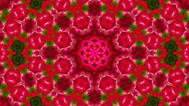 Soyut boya fırça mürekkep patlayabilir formanın düzgün kavramı simetrik desen süs dekoratif Kaleidoscope hareketi geometrik daire ve yıldız şekiller