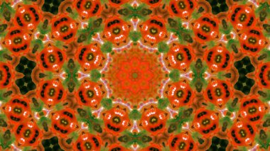 Soyut boya fırça mürekkep patlayabilir formanın düzgün kavramı simetrik desen süs dekoratif Kaleidoscope hareketi geometrik daire ve yıldız şekiller