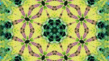 Soyut boya fırça mürekkep patlayabilir formanın düzgün kavramı simetrik desen süs dekoratif Kaleidoscope hareketi geometrik daire ve yıldız şekiller