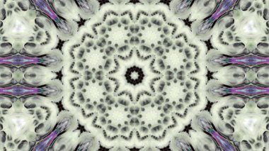 Soyut boya fırça mürekkep patlayabilir formanın düzgün kavramı simetrik desen süs dekoratif Kaleidoscope hareketi geometrik daire ve yıldız şekiller