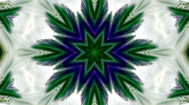 Soyut boya fırça mürekkep patlayabilir formanın düzgün kavramı simetrik desen süs dekoratif Kaleidoscope hareketi geometrik daire ve yıldız şekiller