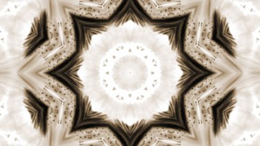 Soyut boya fırça mürekkep patlayabilir formanın düzgün kavramı simetrik desen süs dekoratif Kaleidoscope hareketi geometrik daire ve yıldız şekiller