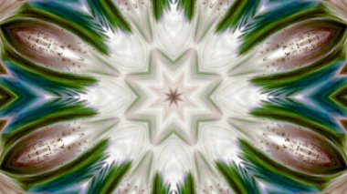 Soyut boya fırça mürekkep patlayabilir formanın düzgün kavramı simetrik desen süs dekoratif Kaleidoscope hareketi geometrik daire ve yıldız şekiller