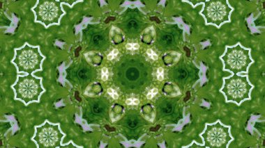 Soyut boya fırça mürekkep patlayabilir formanın düzgün kavramı simetrik desen süs dekoratif Kaleidoscope hareketi geometrik daire ve yıldız şekiller