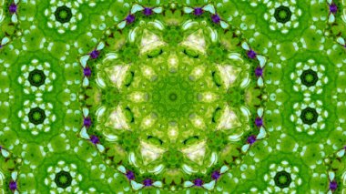 Soyut boya fırça mürekkep patlayabilir formanın düzgün kavramı simetrik desen süs dekoratif Kaleidoscope hareketi geometrik daire ve yıldız şekiller