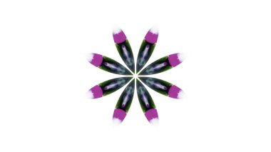 Soyut boya fırça mürekkep patlayabilir formanın düzgün kavramı simetrik desen süs dekoratif Kaleidoscope hareketi geometrik daire ve yıldız şekiller