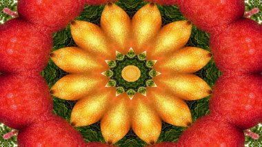 Soyut sebze gıda kavramı simetrik desen süs dekoratif Kaleidoscope hareketi geometrik daire ve yıldız şekli
