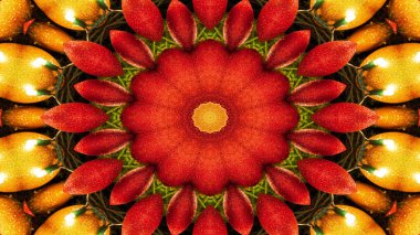 Sebze gıda Kaleidoscope