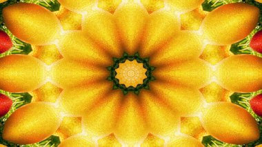 Soyut sebze gıda kavramı simetrik desen süs dekoratif Kaleidoscope hareketi geometrik daire ve yıldız şekli