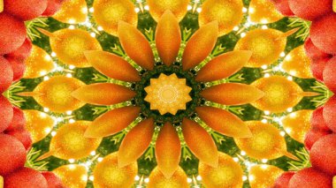 Soyut sebze gıda kavramı simetrik desen süs dekoratif Kaleidoscope hareketi geometrik daire ve yıldız şekli