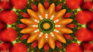 Soyut sebze gıda kavramı simetrik desen süs dekoratif Kaleidoscope hareketi geometrik daire ve yıldız şekli