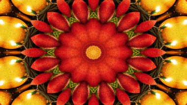 Soyut sebze gıda kavramı simetrik desen süs dekoratif Kaleidoscope hareketi geometrik daire ve yıldız şekli