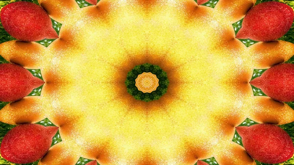 Abstrakte Pflanzliche Lebensmittel Konzept Symmetrische Muster Ornamentale Dekorative Kaleidoskop Bewegung — Stockfoto