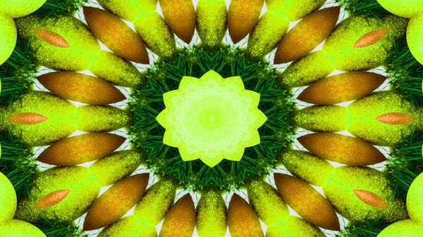 Abstract Vegetable Food Concept Symmetric Pattern Ornamental Decorative Kaleidoscope Movement Geometric Circle and Star Shape