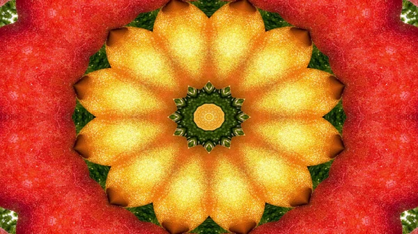 Absztrakt Növényi Élelmiszer Koncepció Szimmetrikus Minta Díszítő Dekoratív Kaleidoszkóp Mozgalom — Stock Fotó