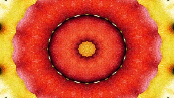 Abstrakte Pflanzliche Lebensmittel Konzept Symmetrische Muster Ornamentale Dekorative Kaleidoskop Bewegung — Stockfoto
