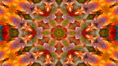 Soyut boya fırça mürekkep patlayabilir formanın düzgün kavramı simetrik desen süs dekoratif Kaleidoscope hareketi geometrik daire ve yıldız şekli