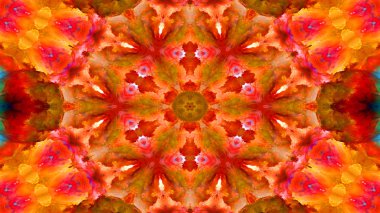 Soyut boya fırça mürekkep patlayabilir formanın düzgün kavramı simetrik desen süs dekoratif Kaleidoscope hareketi geometrik daire ve yıldız şekli