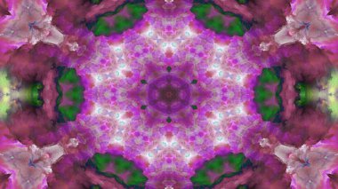 Soyut boya fırça mürekkep patlayabilir formanın düzgün kavramı simetrik desen süs dekoratif Kaleidoscope hareketi geometrik daire ve yıldız şekli