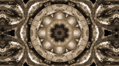 Soyut boya fırça mürekkep patlayabilir formanın düzgün kavramı simetrik desen süs dekoratif Kaleidoscope hareketi geometrik daire ve yıldız şekli