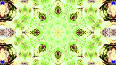 Soyut boya fırça mürekkep patlayabilir formanın düzgün kavramı simetrik desen süs dekoratif Kaleidoscope hareketi geometrik daire ve yıldız şekli