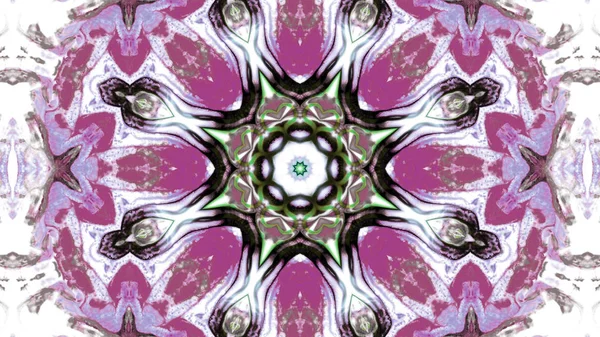 Soyut boya fırça mürekkep patlayabilir formanın düzgün kavramı simetrik desen süs dekoratif Kaleidoscope hareketi geometrik daire ve yıldız şekli