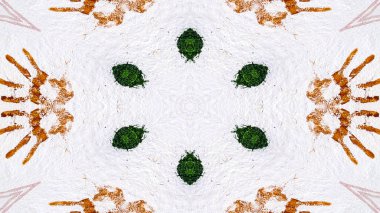 Soyut boya fırça mürekkep patlayabilir formanın düzgün kavramı simetrik desen süs dekoratif Kaleidoscope hareketi geometrik daire ve yıldız şekli