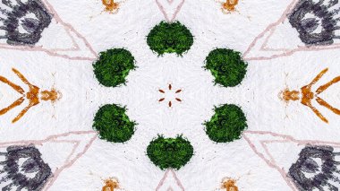 Soyut boya fırça mürekkep patlayabilir formanın düzgün kavramı simetrik desen süs dekoratif Kaleidoscope hareketi geometrik daire ve yıldız şekli