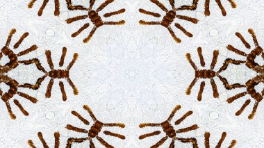 Soyut boya fırça mürekkep patlayabilir formanın düzgün kavramı simetrik desen süs dekoratif Kaleidoscope hareketi geometrik daire ve yıldız şekli