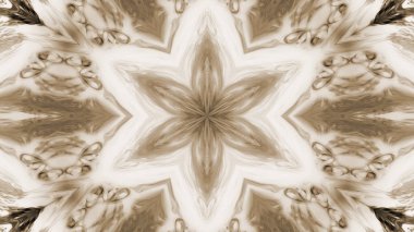 Soyut boya fırça mürekkep patlayabilir formanın düzgün kavramı simetrik desen süs dekoratif Kaleidoscope hareketi geometrik daire ve yıldız şekli