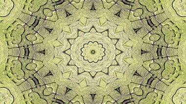 Soyut etnik otantik simetrik desen süs dekoratif Kaleidoscope hareketi geometrik daire ve yıldız şekli