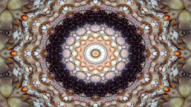 Soyut kuru kabukları ve yıldız kavramı simetrik desen süs dekoratif Kaleidoscope hareketi geometrik daire ve yıldız şekiller