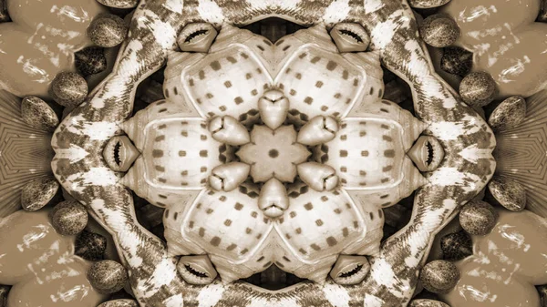 Soyut Kuru Kabukları Yıldız Kavramı Simetrik Desen Süs Dekoratif Kaleidoscope — Stok fotoğraf
