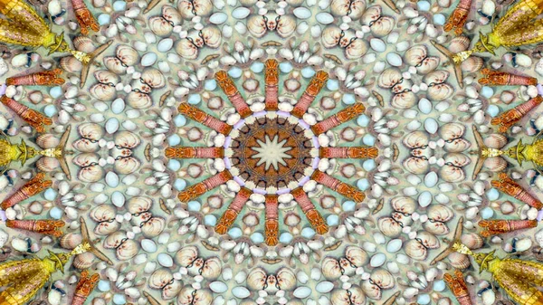 Astratto Asciutto Seashells Stelle Concetto Modello Simmetrico Ornamentale Decorativo Caleidoscopio — Foto Stock