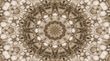 Soyut kuru kabukları ve yıldız kavramı simetrik desen süs dekoratif Kaleidoscope hareketi geometrik daire ve yıldız şekiller