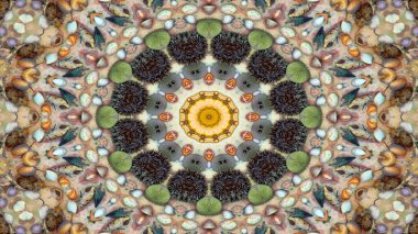 Soyut kuru kabukları ve yıldız kavramı simetrik desen süs dekoratif Kaleidoscope hareketi geometrik daire ve yıldız şekiller