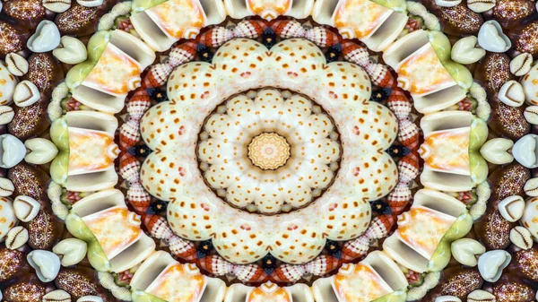 Abstract Dry Seashells and Stars  Concept Symmetric Pattern Ornamental Decorative Kaleidoscope Movement Geometric Circle and Star Shapes