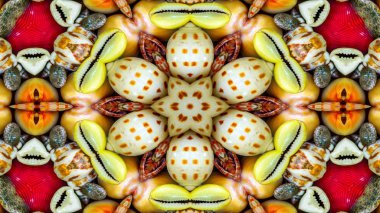 Soyut kuru kabukları ve yıldız kavramı simetrik desen süs dekoratif Kaleidoscope hareketi geometrik daire ve yıldız şekiller