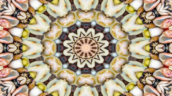 Аннотация Dry Seashells Stars Concept Symmetric Pattern Ornamental Decorative Kaleidoscope — стоковое фото