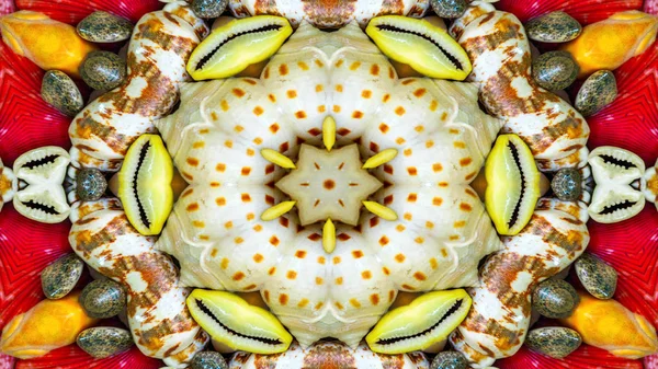 Abstrakte Trockene Muscheln Und Sterne Konzept Symmetrische Muster Ornamentalen Dekorativen — Stockfoto