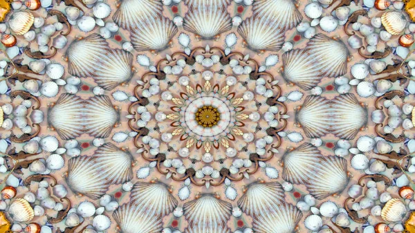 Abstract Dry Seashells and Stars  Concept Symmetric Pattern Ornamental Decorative Kaleidoscope Movement Geometric Circle and Star Shapes