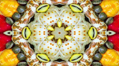 Soyut kuru kabukları ve yıldız kavramı simetrik desen süs dekoratif Kaleidoscope hareketi geometrik daire ve yıldız şekiller