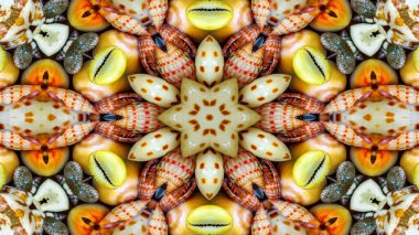 Soyut kuru kabukları ve yıldız kavramı simetrik desen süs dekoratif Kaleidoscope hareketi geometrik daire ve yıldız şekiller