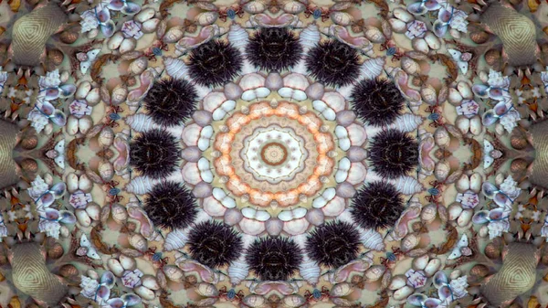 Soyut Kuru Kabukları Yıldız Kavramı Simetrik Desen Süs Dekoratif Kaleidoscope — Stok fotoğraf