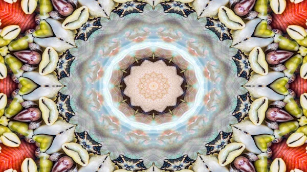 Abstrato Seco Seashells Estrelas Conceito Padrão Simétrico Ornamental Decorativo Caleidoscópio — Fotografia de Stock